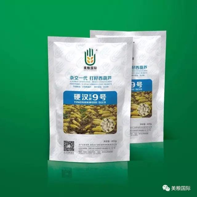 南瓜种子
