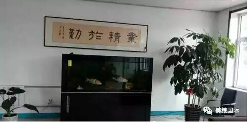 1511770480994760.jpg